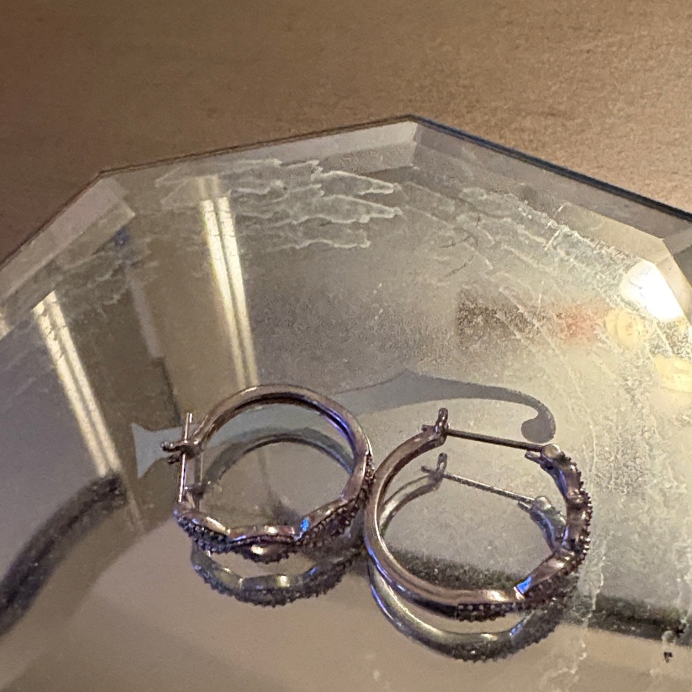 Elegant Silver Hoop Earrings